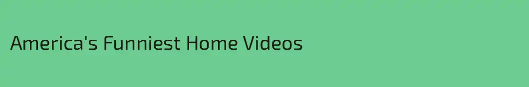 America's Funniest Home Videos
